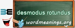 WordMeaning blackboard for desmodus rotundus